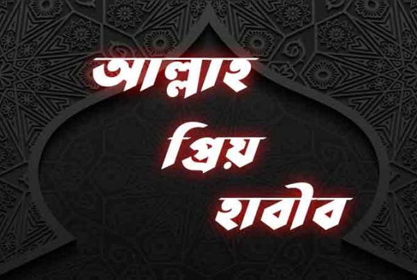 আল্লাহ-প্রিয়-হাবীব-আপনি-কাঁটা-বিহীন-গোলাপ